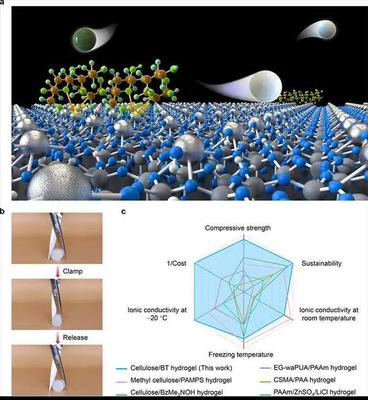 【材料】武大陳朝吉課題組生物質(zhì)基低碳功能材料系列研究進(jìn)展