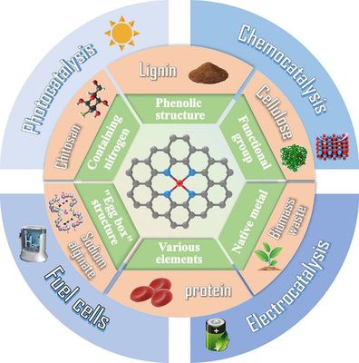 天津科技大學司傳領、王冠華等Adv. Colloid Interfac.綜述: 生物質衍生碳基單原子催化劑的制備及應用
