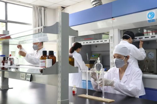 國內(nèi)最大 顛覆你的認識