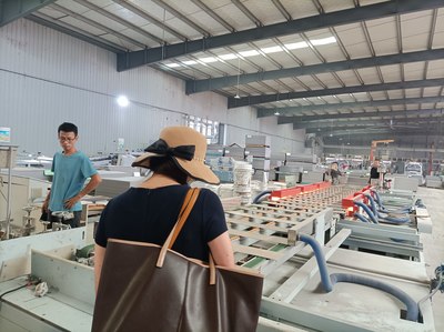 生物基可降解高分子木塑復(fù)合材料技術(shù)開(kāi)發(fā)咨詢服務(wù)