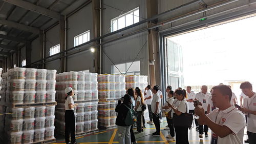 生態(tài)家園邁向高質(zhì)量發(fā)展 市場細(xì)分與品質(zhì)升級并行