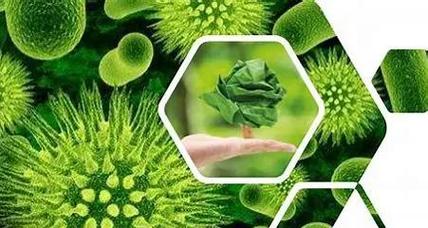 生物質材料 綠色未來的基石——生物化工產品技術研發