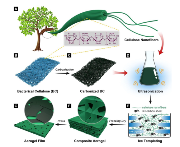 北京林業大學許鳳教授課題組在生物質基功能新材料研發領域的前沿探索與實踐